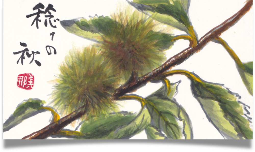 栗の絵手紙 / Etegami of chestnuts